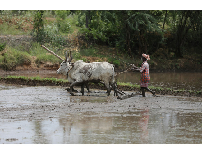  Villages of Rural India